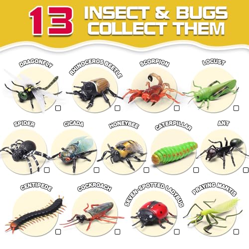 KarberDark 13 Pcs Realistic Insect Toys with Education Booklet and Gift Box Fake Bugs for Kid Plastic Bugs for Halloween Party Decoration Sensory Bin Creepy Crawlers Toys for Toddler Boys Girls Age 35 57 - Image 5
