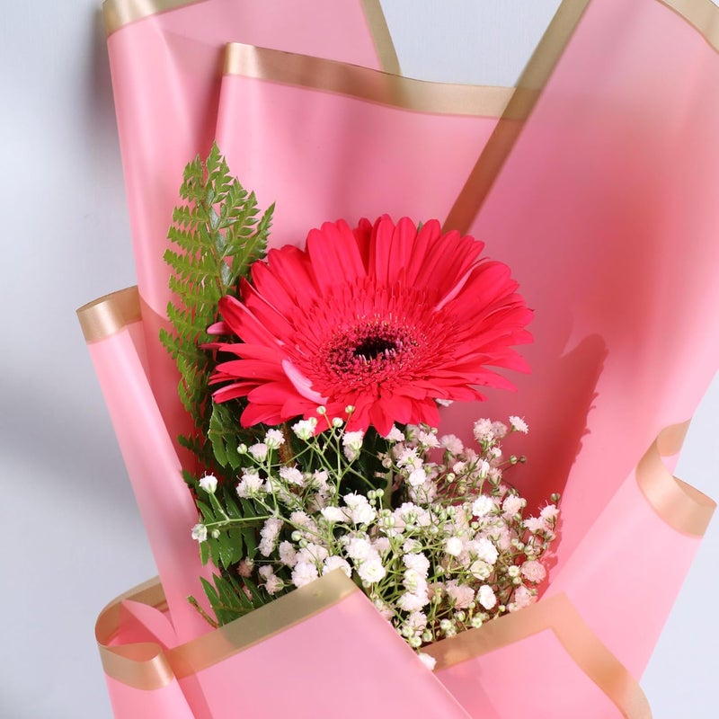 FlowerAura Fresh Live Premium Flower Bouquet of Pink Gerbera Flower For Birthday Gift Anniversary Gift Valentines Day Gift For Boyfriend Girlfriend Wife Husband Same Day Delivery - Image 5