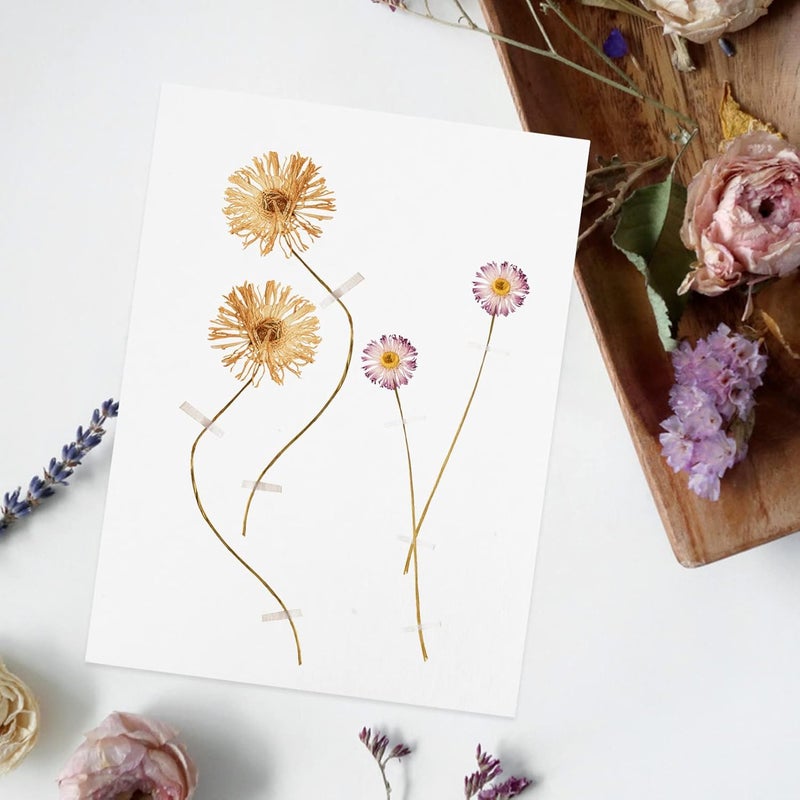 VICASKY 6pcs Blotter Paper for Flower Pressing Reusable Absorbent Blotting Paper for Crafting Dried Flowers for Boys and Girls and Adults Creativity and Hands Learning - Image 3