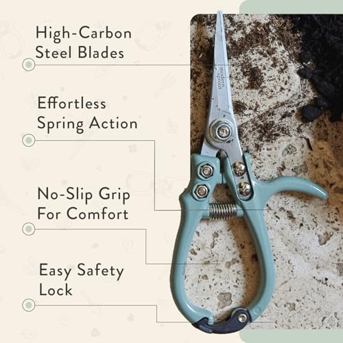 Modern Sprout Hand Pruners & Shears Set with Blister Pack - Lightweight Gardening Tools with Easy Lock - Sharp Carbon Steel Blades -Rust Resistant Scissors for Herbs, Flowers - Sage - Image 4