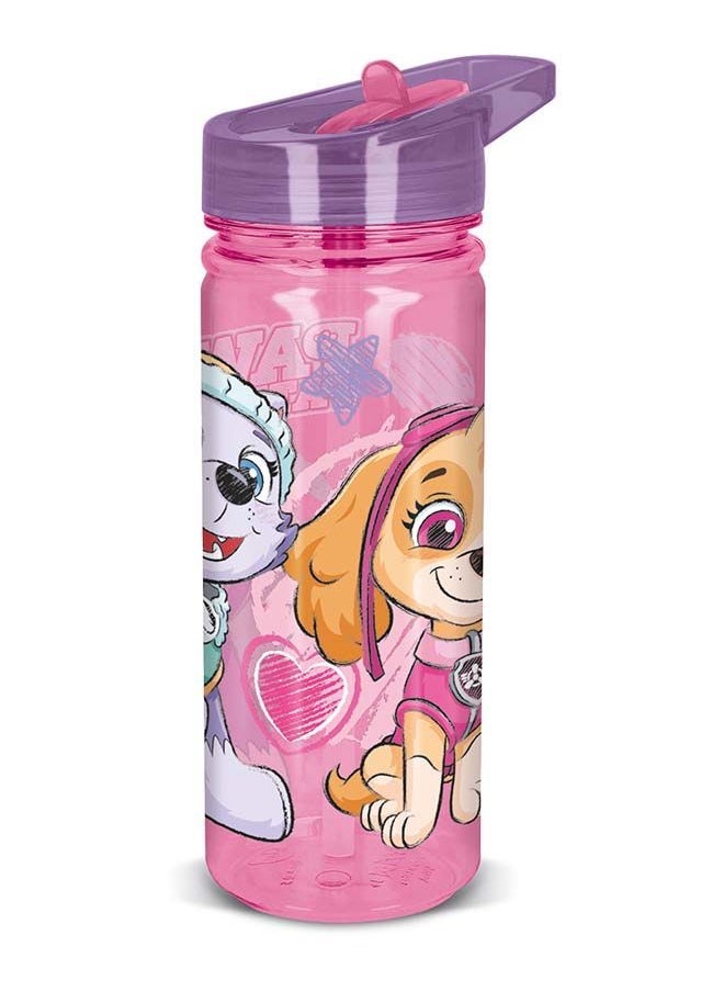 nickelodeon PawPatrol Girls 580ml Water Bottle + Lunch Box Combo Set for Kids - Image 3