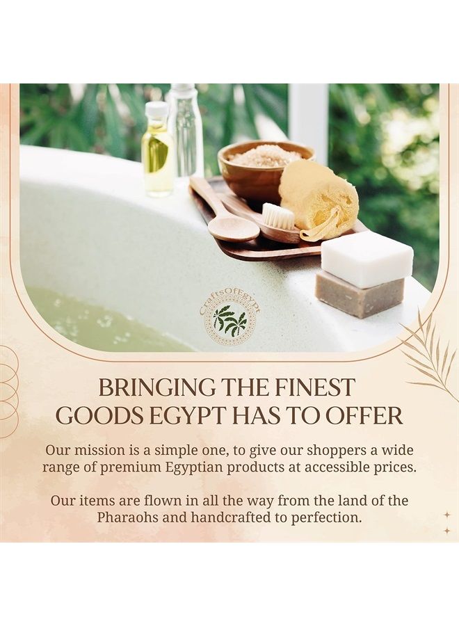 CraftsOfEgypt Egyptian Natural Loofah Sponge Exfoliating Body Scrubber - Our Bath Loofahs Provide a Refreshingly Deep Clean to Your Face & Body - These Luffa Sponges Are Skin-Friendly & Vegan - 6 x 6 Inches, 4 Pack - Image 2