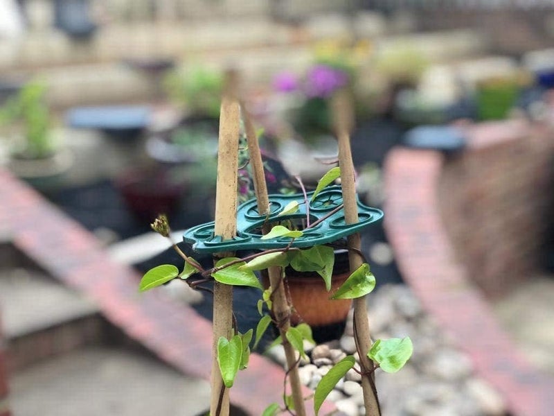 EarlyGrow Plant Stake Connectors 6Pack Green 709146 - Image 3