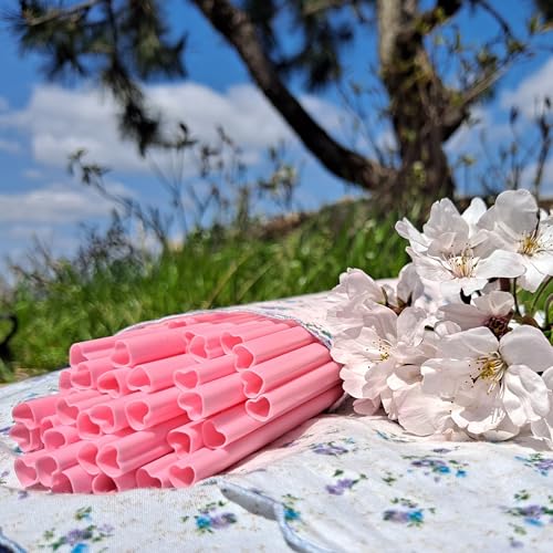 The best MOON 50pcs Heart Shaped Pink Straws Disposable Drinking Cute Straw Individually Wrapped Pink Plastic Straw Galentines Day, Cocktail, Birthday Party, Bridal Shower, Wedding Decorations - Image 2
