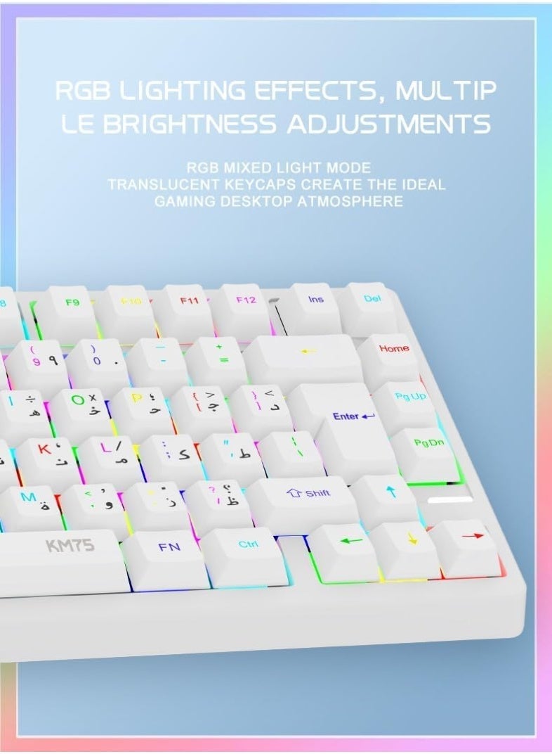 أيه أس أيه طقم لوحة مفاتيح وماوس ميكانيكي لاسلكي ASA KM75 – تصميم 75% مدمج بإضاءة RGB، اتصال ثلاثي (بلوتوث / 2.4 جيجاهرتز / USB-C)، مفاتيح ميكانيكية هادئة – أبيض - Image 4