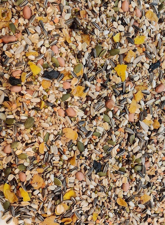 BirdsNature مزيج بذور وفواكه فاخر من بيردز ناتشر للطيور المتوسطة الحجم، والكوكاتيل، والكاييك، والكونيور الصغير، واللوري، واللوريكيت، والبويسفالوس، وطيور الحب، والكويكر (500 غرام) - Image 2