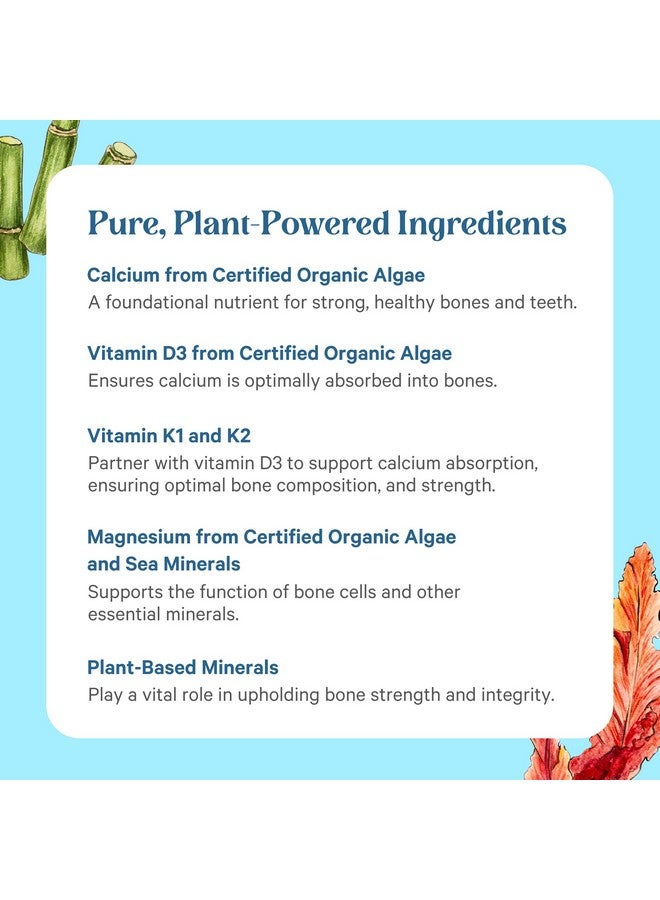 PURE SYNERGY Bone Renewal | Bioavailable Calcium with Cofactors | Natural, Vegan Supplement with Vitamin D3, K2, Magnesium, & Boron | for Lasting Bone Strength (150 Capsules) - Image 5