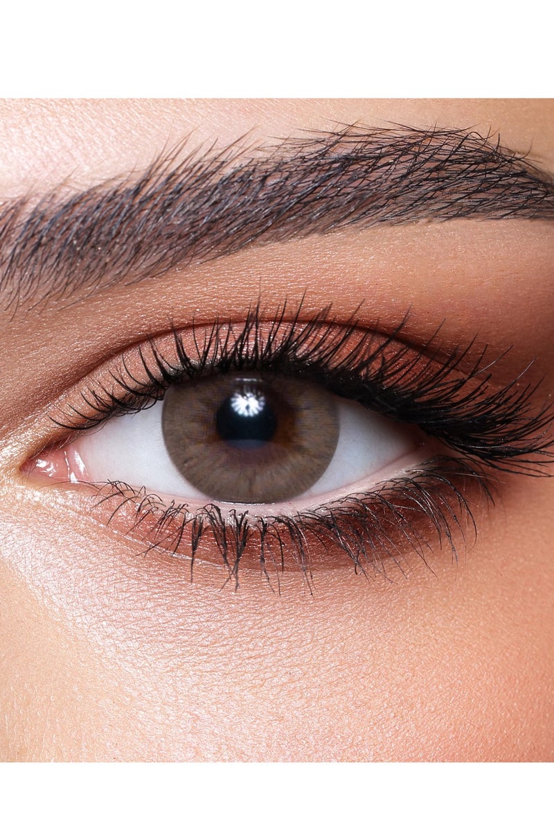 بيلا ساندي براون - 3 أشهر - Image 1