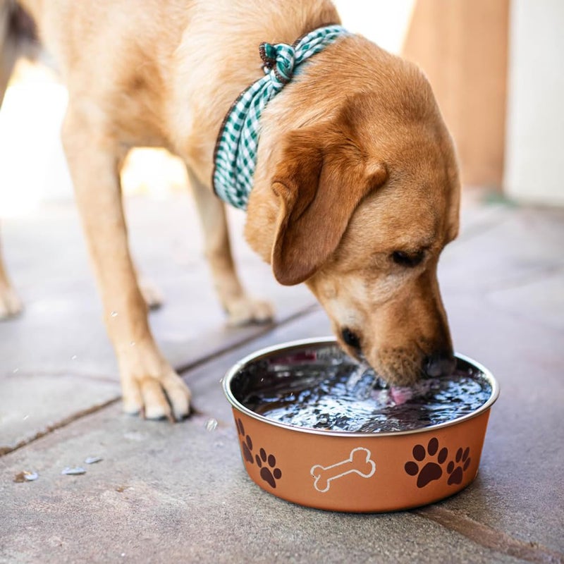 Loving Pets Bella Dog Bowls- Stainless Steel Dog & Cat Bowls - Spill Proof Dog Food Bowl, Cat Bowl, Puppy Essentials & Pet Supplies Great for Home & Travel (Small 10-20 lbs, Copper) - Image 5