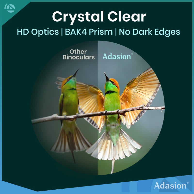 Adasion 12x42 HD Binoculars for Adults High Powered with Phone Adapter and Tripod, Super Bright BAK4 Prism Waterproof Binoculars for Bird Watching Hunting Hiking Safari Travel Sports - Image 2