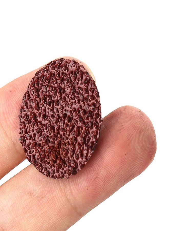 SI FANG 50PCS 1 Inch Quick Change Sanding Disc 40/60/120/180/240 Grit Roll Lock Quick Change Discs with 1/4" Round/Hex Holder, Surface Conditioning Discs Die Grinder Accessories - Image 4