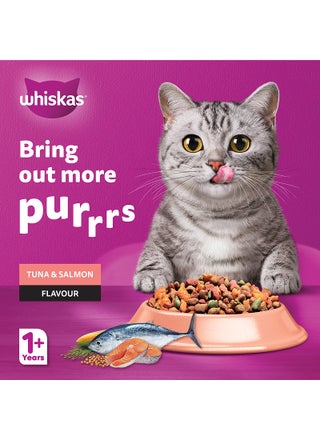 Tuna and Salmon Flavour Cat Dry Food - view 2