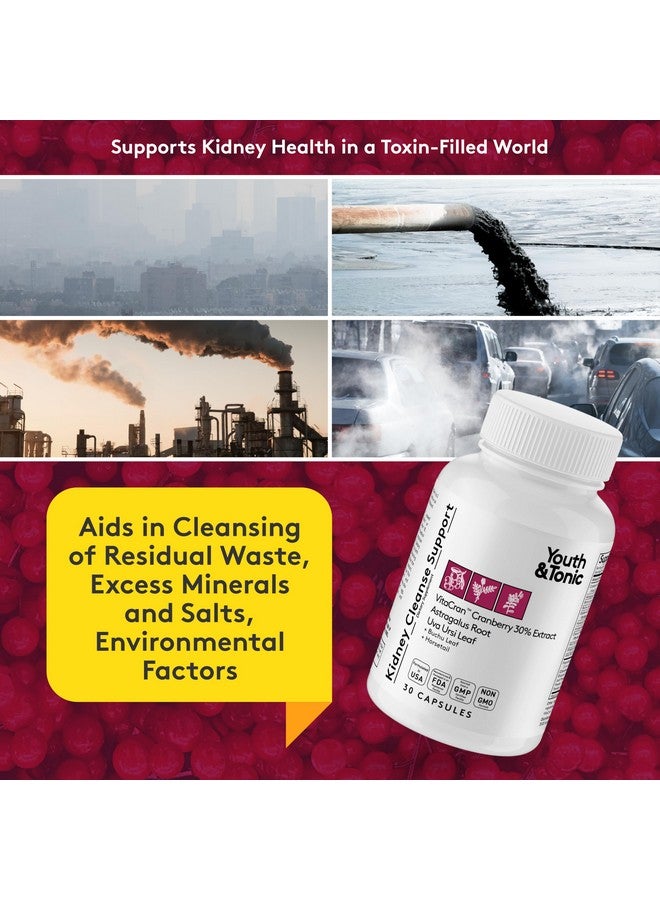 Youth & Tonic Youth & Tonic Diuretic Full Body Cleanse Detox Pills for Bloating, Puffiness and Swelling, System Flush for Colon, Kidney and Liver Detoxing, 30 Day Supply with Green Tea, Senna, Dandelion, Cranberry  - Image 3
