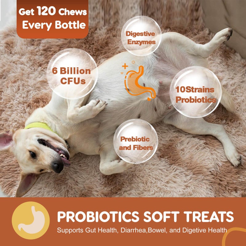 ZEBORA Probiotics for Dogs, Dog Probiotics for Digestive Health, Plus Pumpkin and Fish Oil, for Gut & Itchy, 120 Soft Chews - Image 3