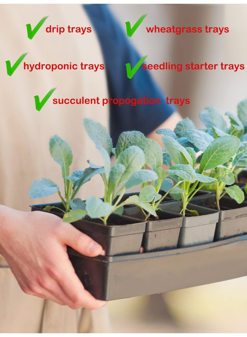 Bukela 10 Pcs 20×10 Inch Plants Growing Trays - Black Seedlings Plugs Tray No Drain Holes Hydroponic Plastic Container Seed Starter without holes for Microgreens Flowers Sprouts Wheatgrass - Image 4