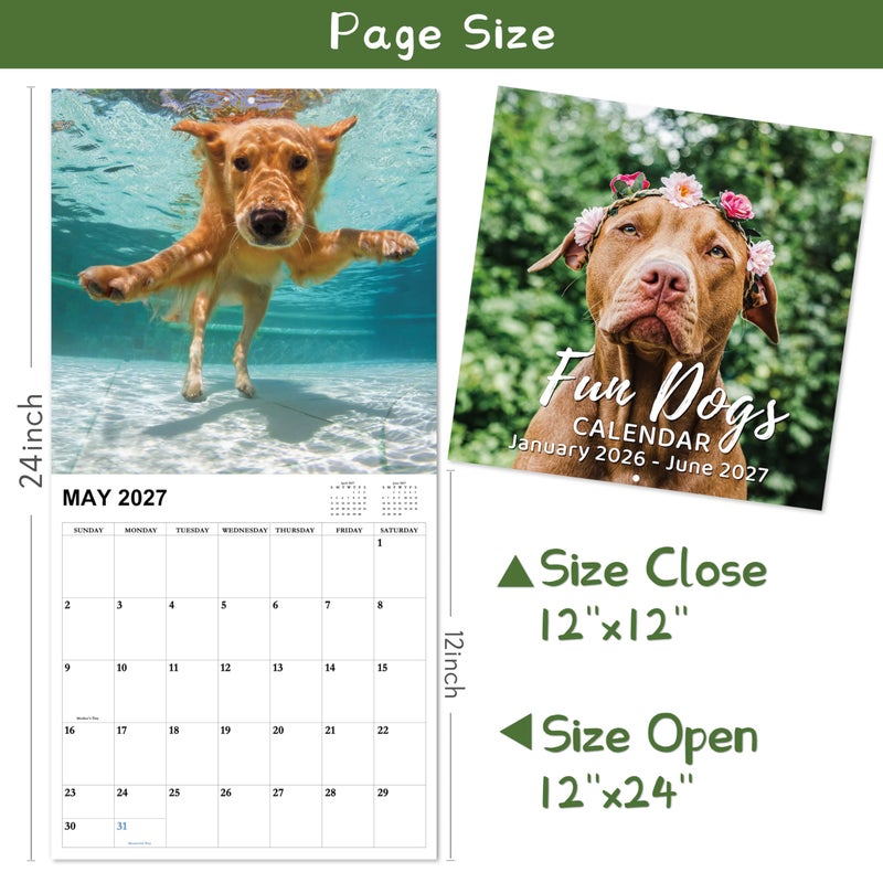 Chambom 2026-2027 Calendar - 18-Month Wall Calendar 2026-2027 Funny Dog Calendars from Jan. 2026 - Jun. 2027, Calendar 2026 with Unruled Blocks, Holidays, 12" x 24"(open), Fun Wall Calendars Gag Gifts - Funny Dog - Image 5