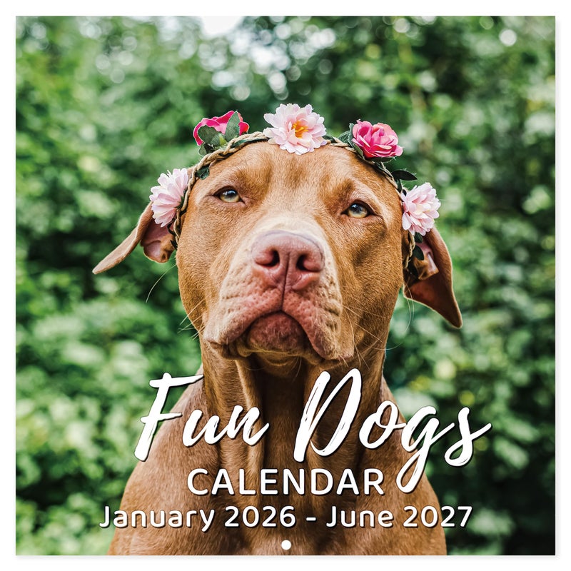 Chambom 2026-2027 Calendar - 18-Month Wall Calendar 2026-2027 Funny Dog Calendars from Jan. 2026 - Jun. 2027, Calendar 2026 with Unruled Blocks, Holidays, 12" x 24"(open), Fun Wall Calendars Gag Gifts - Funny Dog - Image 1