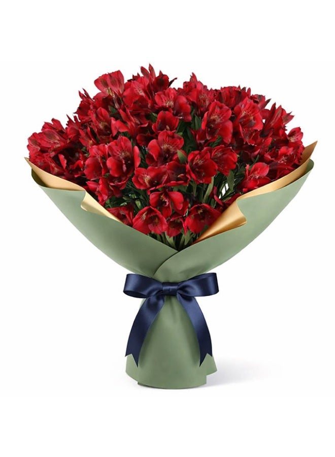 Alstroemeria, Red - 12 Stems, Kenya