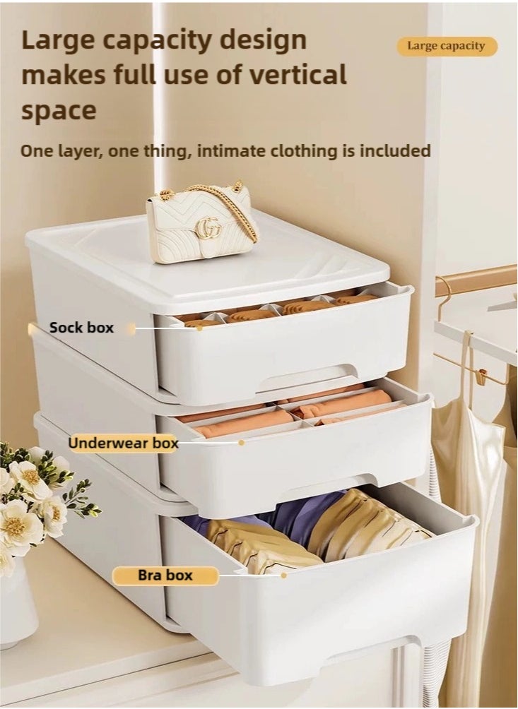 nehem - Bra Storage Drawer: Clean & Tidy Organizer with Effortless Access - Image 1