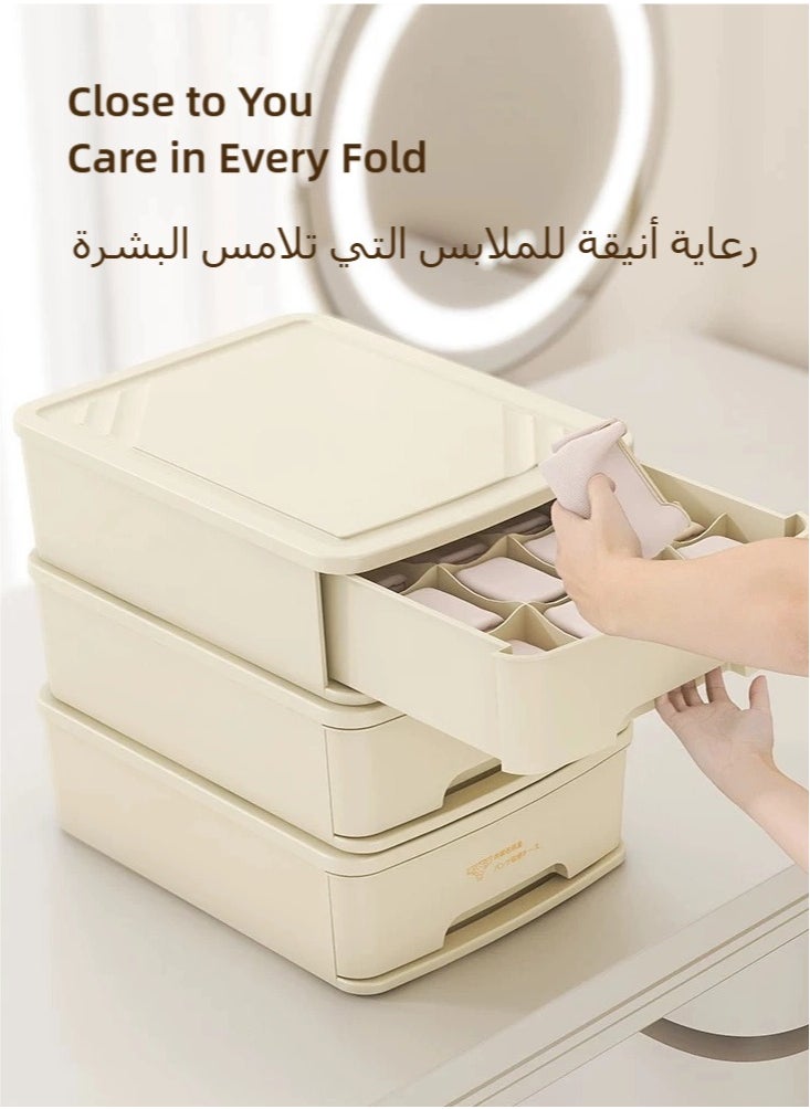 nehem - Bra Storage Drawer: Clean & Tidy Organizer with Effortless Access - Image 1