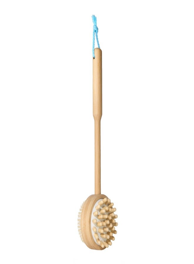 Bliss 2-in-1 Wooden Shower Brush for Back and Body, Exfoliating Dry Brush Bristles with Massaging Nubs for Sore Muscles, Use Wet or Dry - Image 1