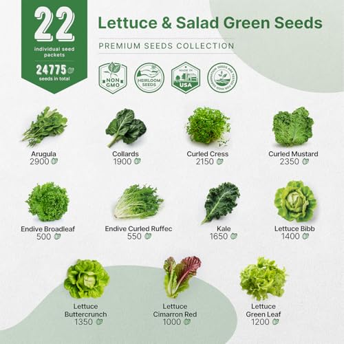 Organo Republic 22 Lettuce & Salad Greens Seeds Variety Pack 24,700+ Non-GMO Heirloom Lettuce Seeds for Indoor & Outdoor Garden, Hydroponics, Aerogarden - Arugula, Kale, Spinach, Swiss Chard, Lettuce - Image 3