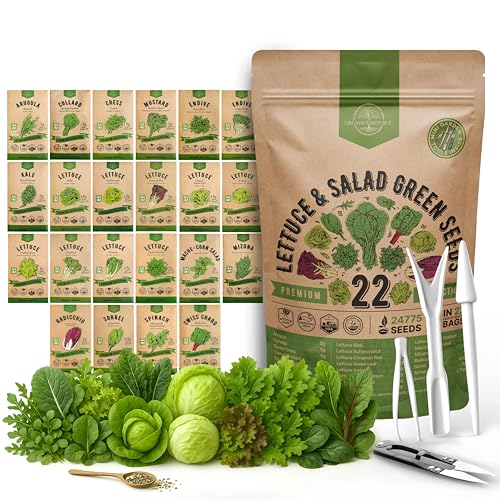 Organo Republic 22 Lettuce & Salad Greens Seeds Variety Pack 24,700+ Non-GMO Heirloom Lettuce Seeds for Indoor & Outdoor Garden, Hydroponics, Aerogarden - Arugula, Kale, Spinach, Swiss Chard, Lettuce - Image 1