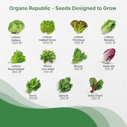 Organo Republic 22 Lettuce & Salad Greens Seeds Variety Pack 24,700+ Non-GMO Heirloom Lettuce Seeds for Indoor & Outdoor Garden, Hydroponics, Aerogarden - Arugula, Kale, Spinach, Swiss Chard, Lettuce - Image 4