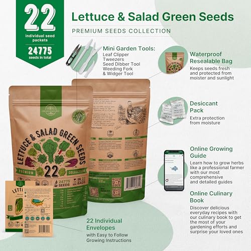 Organo Republic 22 Lettuce & Salad Greens Seeds Variety Pack 24,700+ Non-GMO Heirloom Lettuce Seeds for Indoor & Outdoor Garden, Hydroponics, Aerogarden - Arugula, Kale, Spinach, Swiss Chard, Lettuce - Image 2
