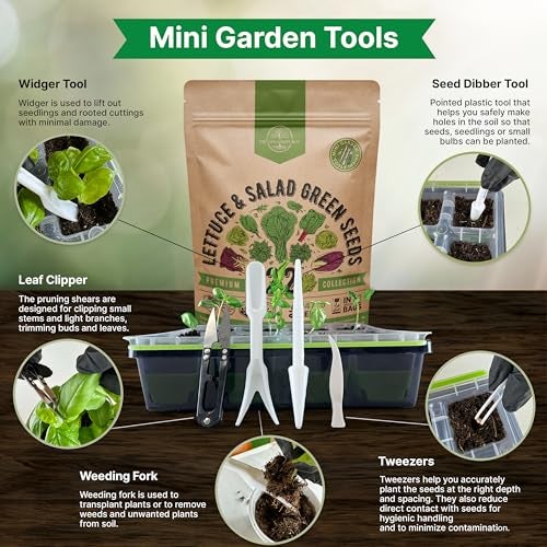 Organo Republic 22 Lettuce & Salad Greens Seeds Variety Pack 24,700+ Non-GMO Heirloom Lettuce Seeds for Indoor & Outdoor Garden, Hydroponics, Aerogarden - Arugula, Kale, Spinach, Swiss Chard, Lettuce - Image 5