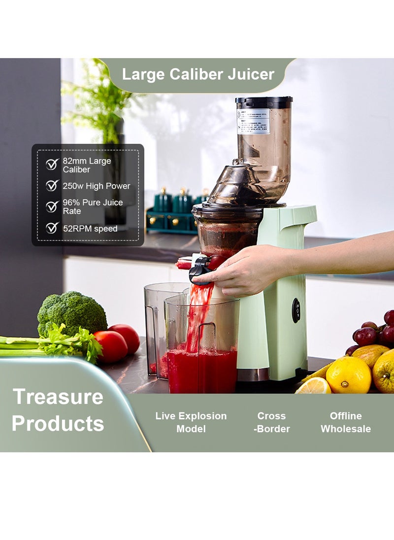 ET-LIFE - Slow Masticating Juicer, Slow juicer, Fruit/Vegetable Juicer, Cold Press Juicer with High Output - Image 1