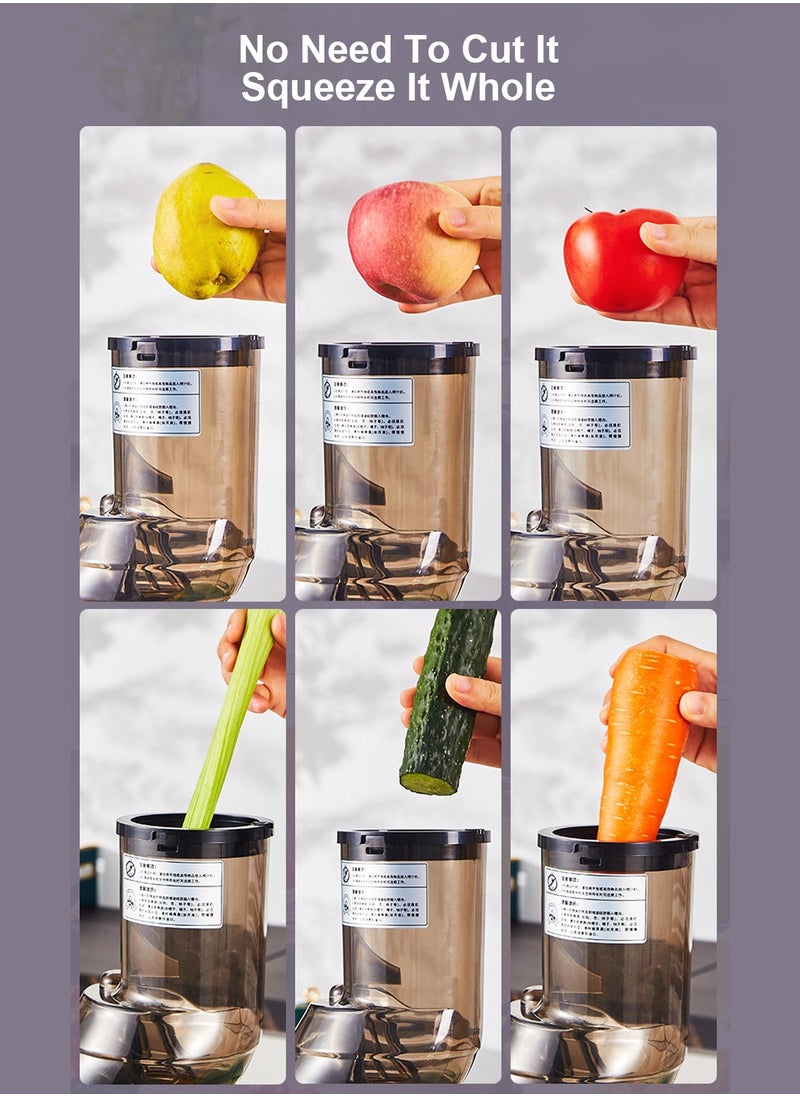 ET-LIFE - Slow Masticating Juicer, Slow juicer, Fruit/Vegetable Juicer, Cold Press Juicer with High Output - Image 1