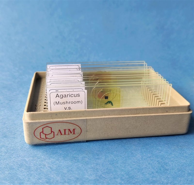 مجموعة شرائح مقدمة في علم الأحياء (مجموعة من 12)