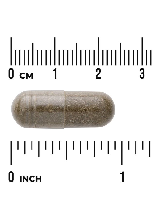 SWANSON Full Spectrum® Sweet Wormwood, 425 mg, 90 Capsules - Image 2