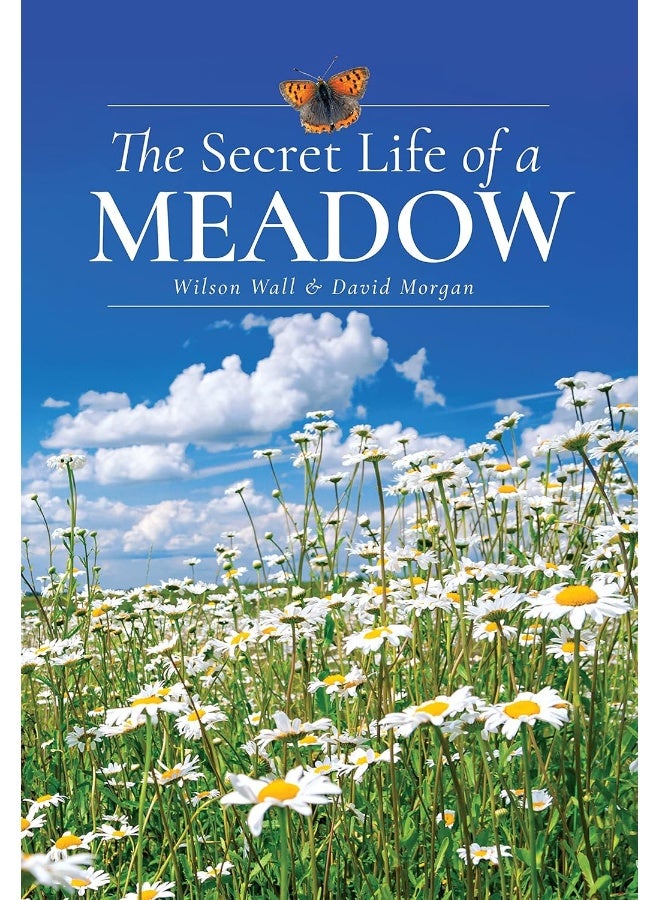 The Secret Life of a Meadow - Image 1