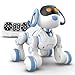 STEMTRON Programmable Remote Control Robot Cat Robot Dog for Kids Interactive Robotic Dog Robotic Cat Robo Dog Robo Cat RC Robot with Touch Sensing LED Eyes Dance Music - Image 3