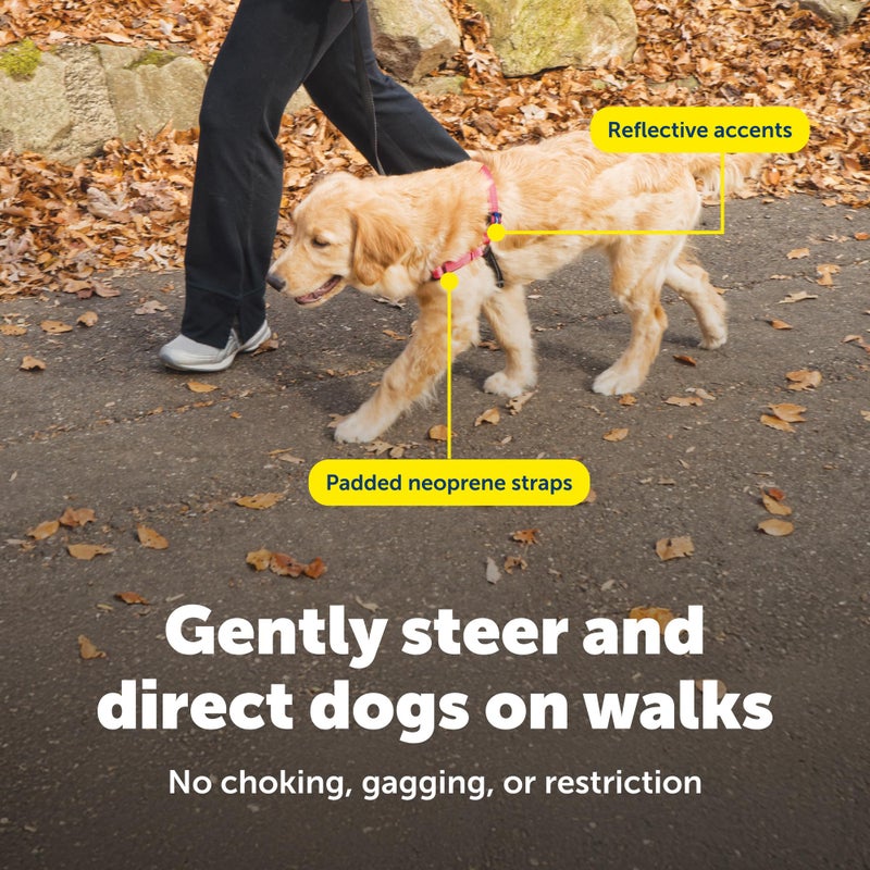 PetSafe Deluxe Easy Walk Harness - Trainer-Trusted Dog Chest Harness with Breathable Martingale Loop Design - Helps Stop Pulling with No Choking & Gagging - Medium - Rose - Image 5