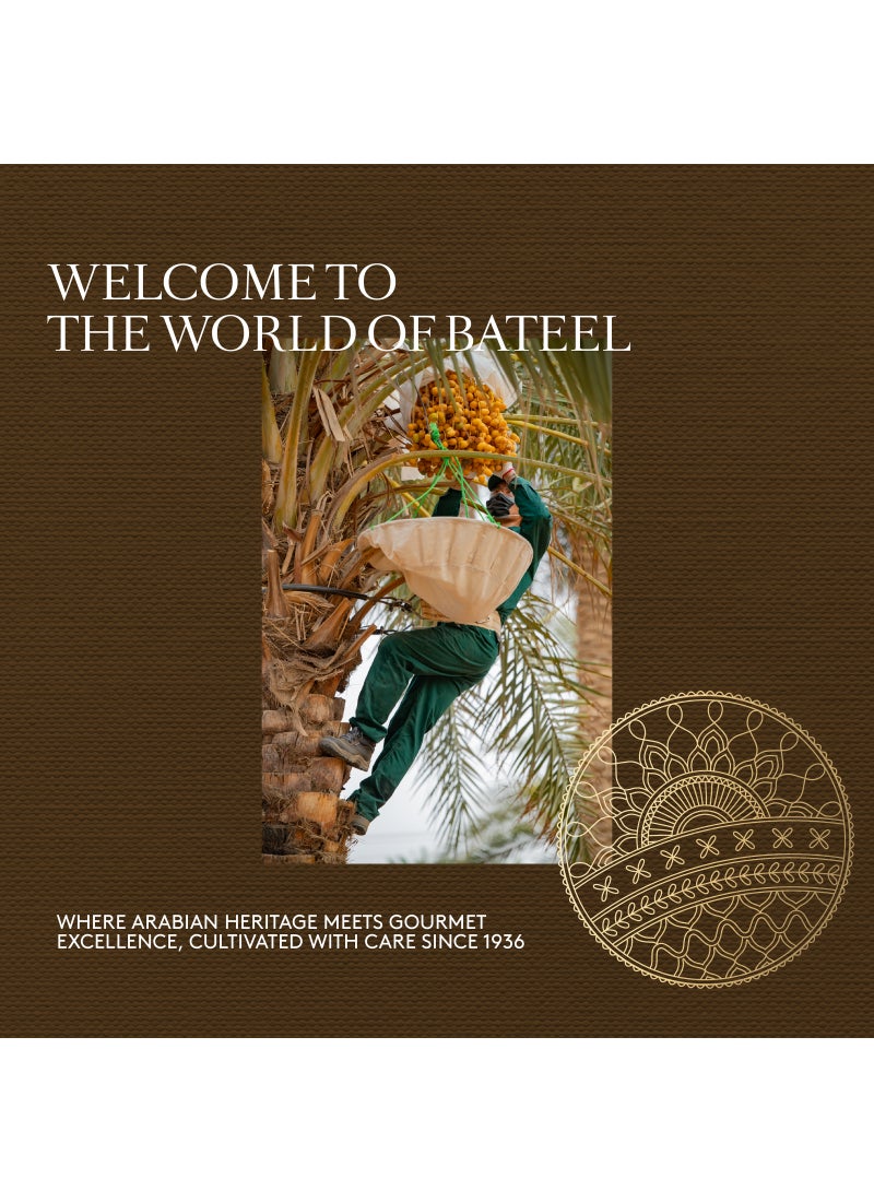 Bateel Palm Xsmall Gift Set Collection Premium Filled Dates 1 Box (146g) - Image 4