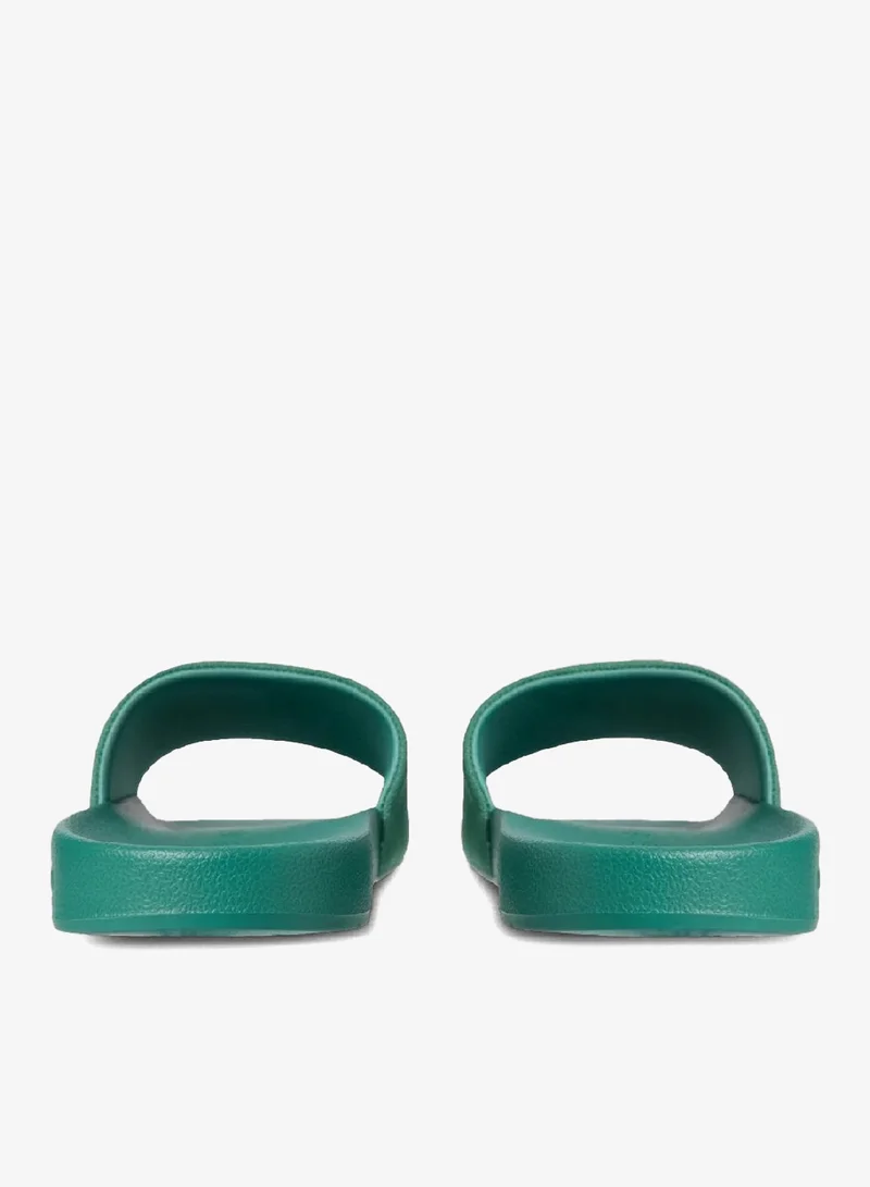 Calvin Klein Jeans Wild Green Canvas Logo Slides for Men | Best Price UAE