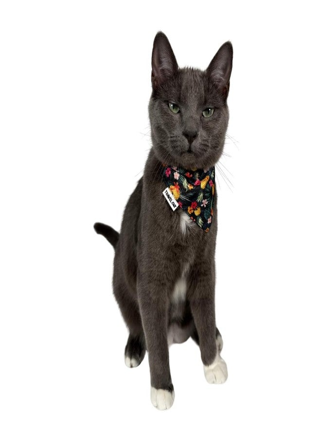 Your Cat Backpack Travel Cat Bandana Collar - Adjustable Cat & Dog Collar with Buckle - Cute Hawaiian Clothes Accessories for Indoor & Outdoor Use - Image 1