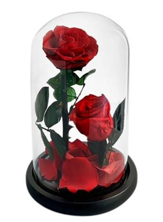 wardi Red Double Infinity Roses In A Dome