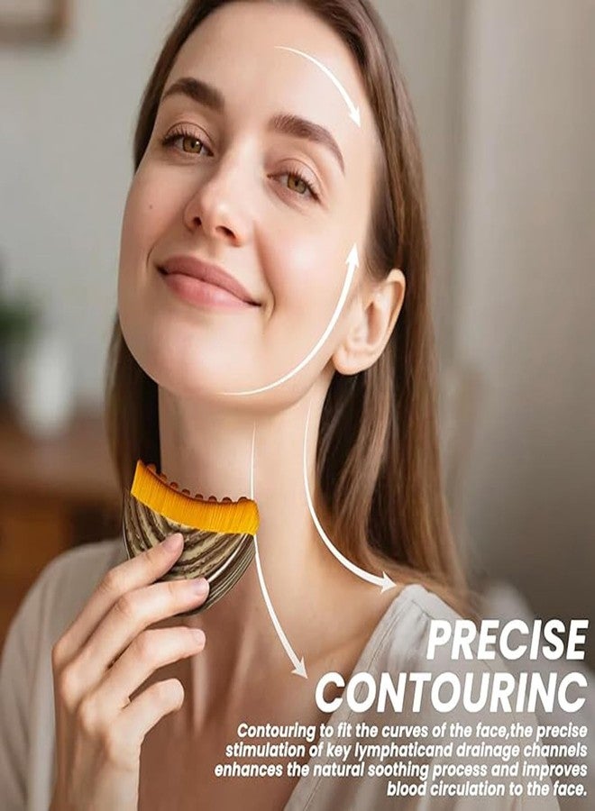 piercing 2PCS Lymphatic Contour Face Brush, Face Brush, Facial Brush, Body Brush Lymphatic Drainage, Bath Brush Natural Thick Bristles Exfoliates Dead Skin, Detoxifies - Image 5