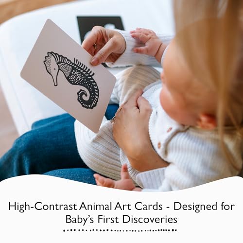 Wee Gallery Art Cards for Baby, Durable High Contrast Black and White Animal Flashcards for Newborns, Brain Development, Sensory Toys, Tummy Time Essentials for Infant and Toddler - Jungle Animals - Image 3