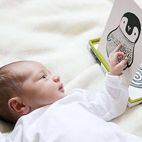 Wee Gallery Art Cards for Baby, Durable High Contrast Black and White Animal Flashcards for Newborns, Brain Development, Sensory Toys, Tummy Time Essentials for Infant and Toddler - Jungle Animals - Image 2
