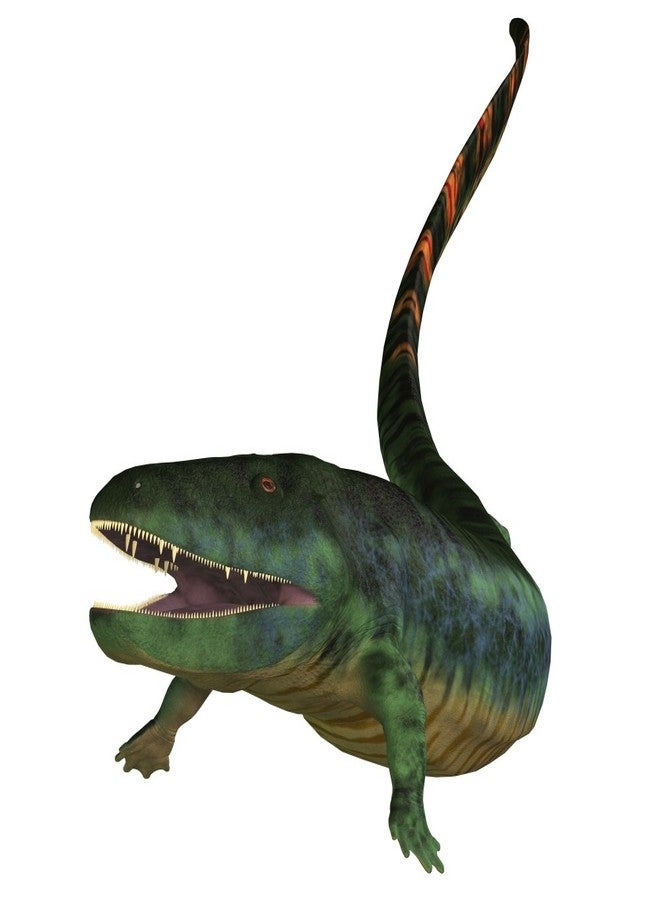 Posterazzi white background. Eogyrinus was a aquatic predatory tetrapod that lived in the Carboniferous Period of England Poster Print, (14 x 14) - Image 1