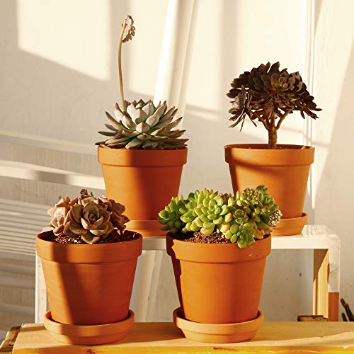 Yishang Large Terra Cotta Pots with Saucer- 4 Pack Large 6'' Terra Cotta Plant Pot with Drainage Hole, Flower Pot with Tray, Terracotta Pot for Indoor Outdoor Plant - Image 4