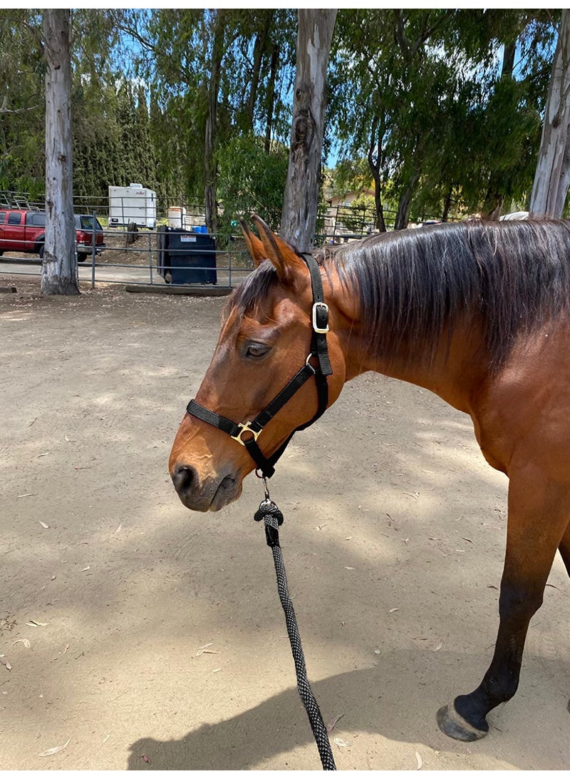 Solid Poly Lead Rope for Horses & Livestock – 2.5M Long, 1.5CM Thick, Heavy-Duty Bolt Snap for Horse Owners & Riders - Image 4