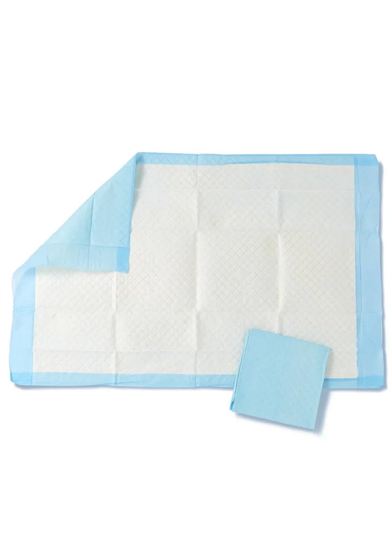 فوط صحية لعلاج سلس البول 10 قطع، 60 × 90 سم - Image 1