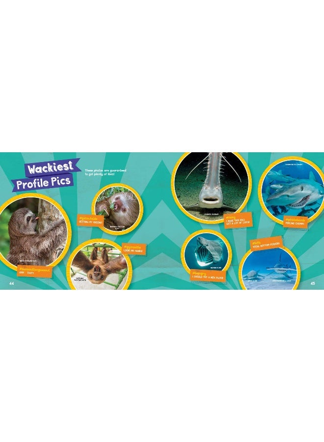 Sharks vs. Sloths