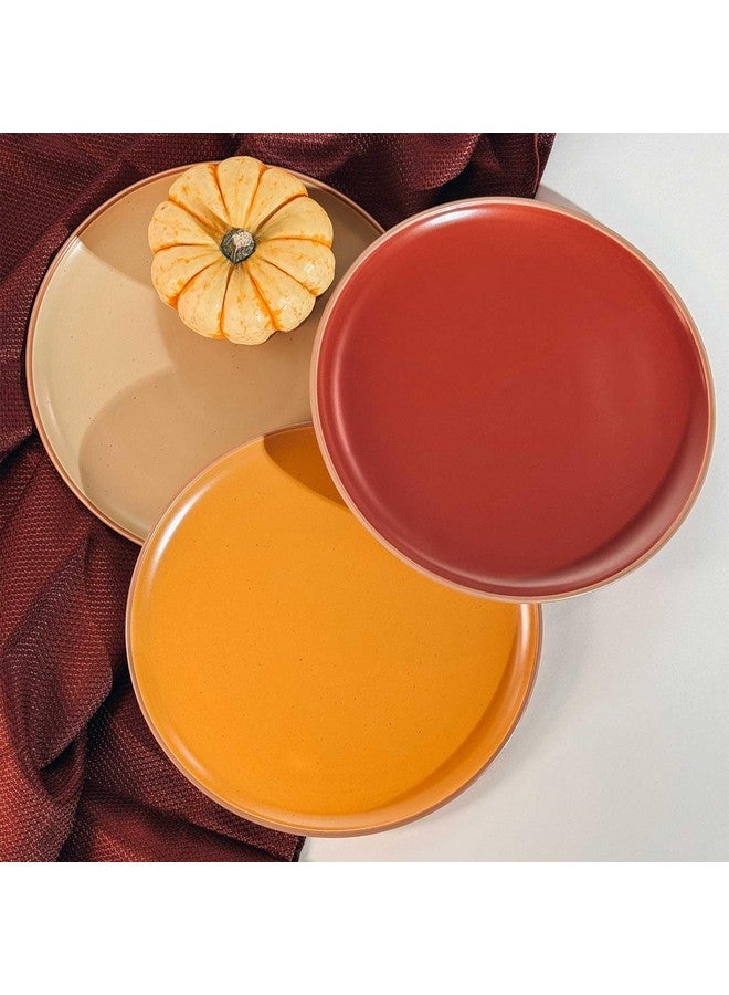 Mora Ceramic Artisan Matte Dinner Plates Set of 6, 10 inch Dish Set - Microwave, Oven, and Dishwasher Safe, Scratch Resistant, Modern Rustic Dinnerware- Kitchen Porcelain Serving Dishes - Image 5